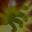 Bonk.png